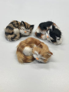 3 Felltierchen Kätzchen schlafend klein