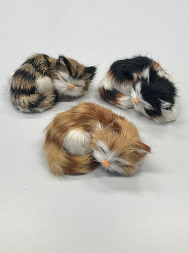 3 Felltierchen Kätzchen schlafend klein