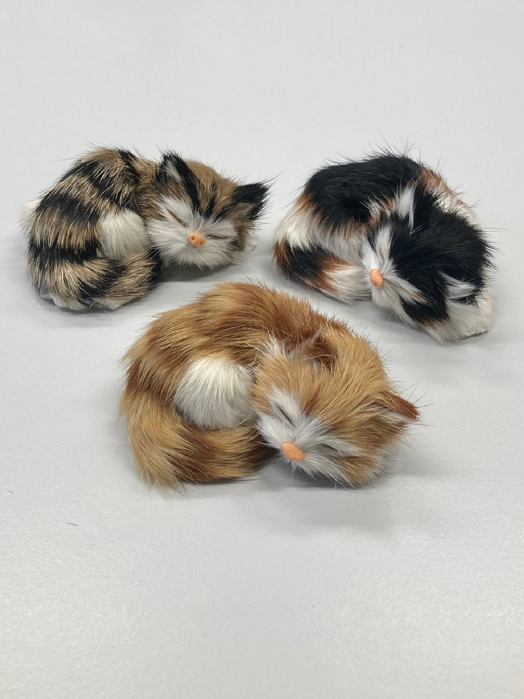 3 Felltierchen Kätzchen schlafend klein