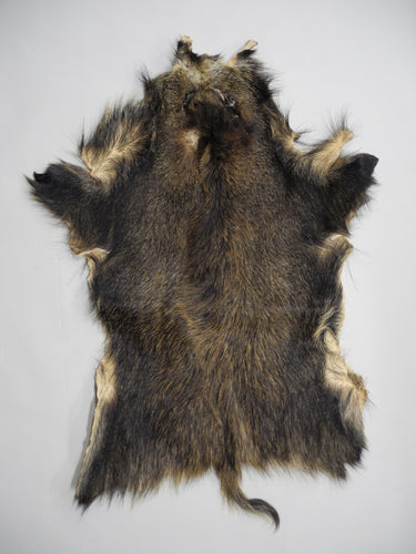 Wildschweinfell
